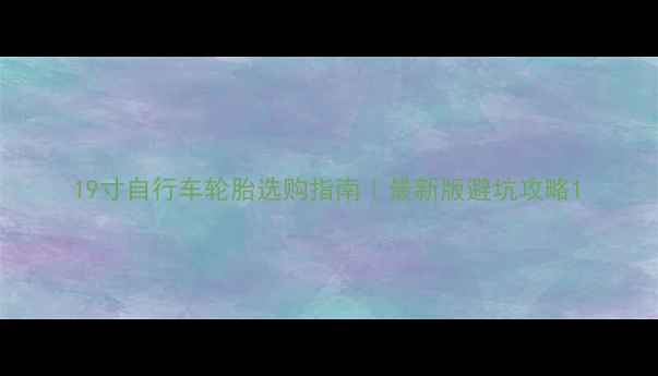 19寸自行车轮胎选购指南最新版避坑攻略