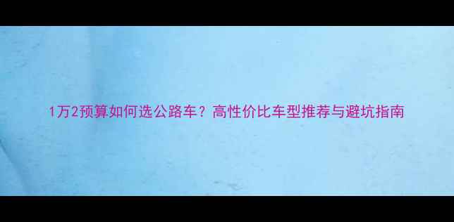 1万2预算如何选公路车高性价比车型推荐与避坑指南