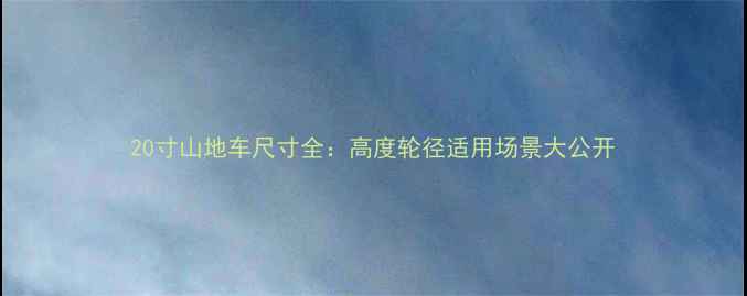 20寸山地车尺寸全高度轮径适用场景大公开