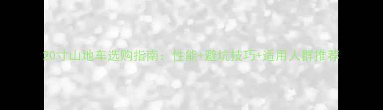 20寸山地车选购指南性能避坑技巧适用人群推荐