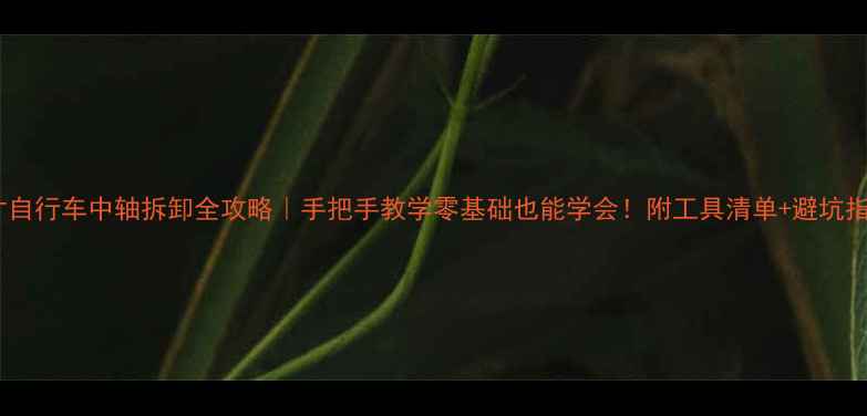 26寸自行车中轴拆卸全攻略手把手教学零基础也能学会附工具清单避坑指南