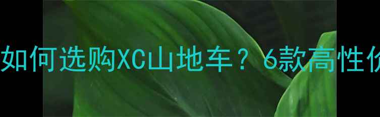 6000元预算如何选购XC山地车6款高性价比车型全