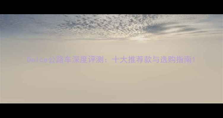 Dolce公路车深度评测十大推荐款与选购指南