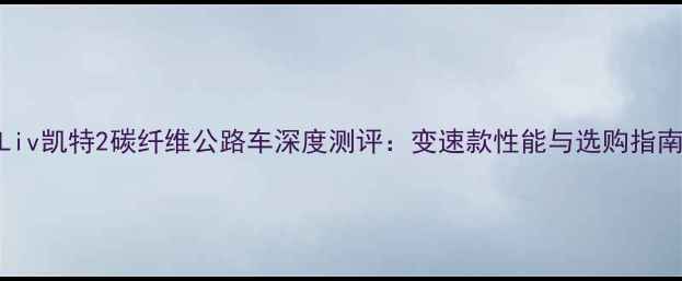 Liv凯特2碳纤维公路车深度测评变速款性能与选购指南