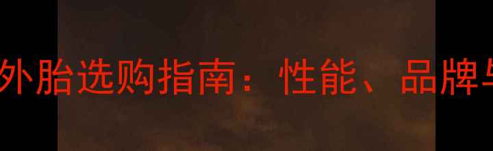 Neco自行车外胎选购指南性能品牌与性价比全