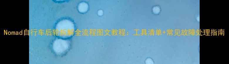 Nomad自行车后轮拆解全流程图文教程工具清单常见故障处理指南