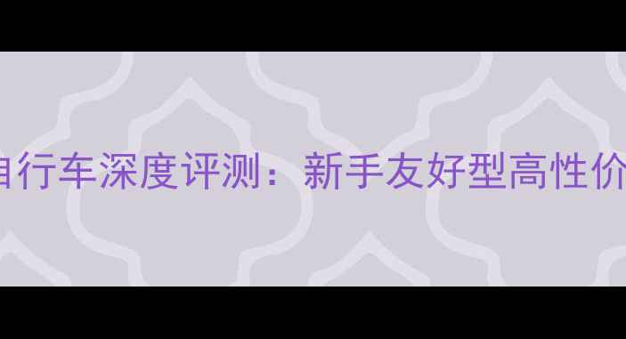 PA1828公路自行车深度评测新手友好型高性价比骑行装备