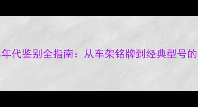 Raleigh自行车年代鉴别全指南从车架铭牌到经典型号的精准判断方法