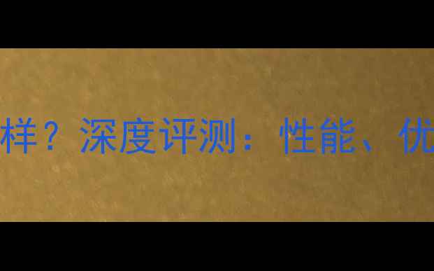 Surly自行车怎么样深度评测性能优缺点及选购指南