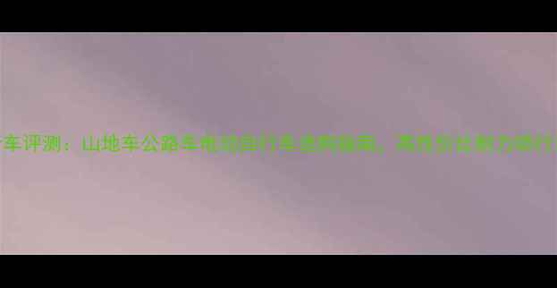 dyama自行车评测山地车公路车电动自行车选购指南高性价比耐力骑行装备推荐