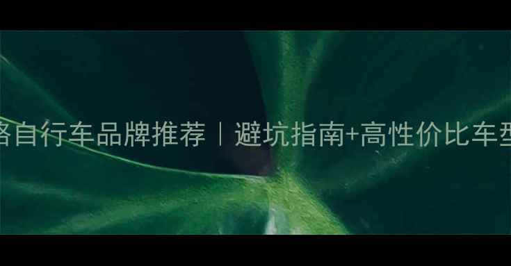 F开头公路自行车品牌推荐避坑指南高性价比车型全