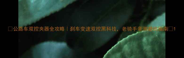 公路车双控夹器全攻略刹车变速双控黑科技老骑手亲测避坑指南