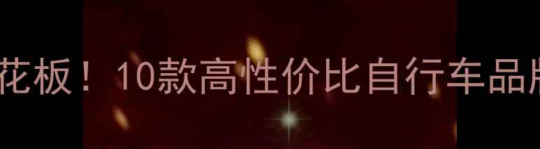 刹车系统天花板10款高性价比自行车品牌避坑指南