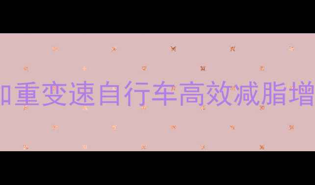 大体重骑友必看如何用加重变速自行车高效减脂增肌附变速技巧与避坑指南