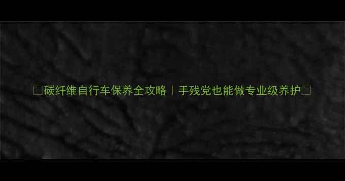 碳纤维自行车保养全攻略手残党也能做专业级养护
