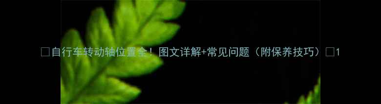 自行车转动轴位置全图文详解常见问题附保养技巧
