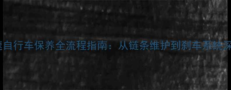 三速自行车保养全流程指南从链条维护到刹车系统深度
