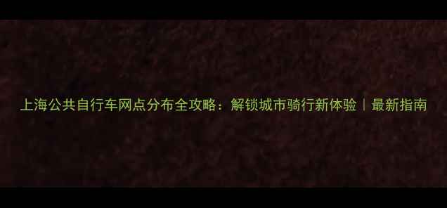 上海公共自行车网点分布全攻略解锁城市骑行新体验最新指南