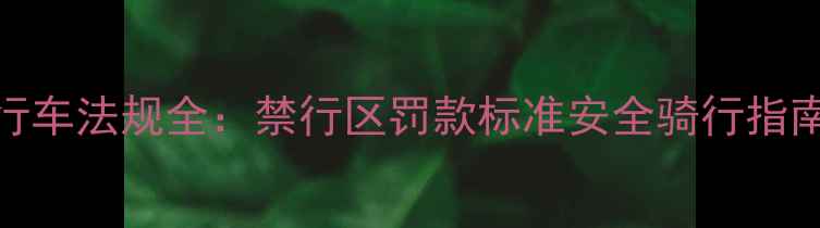 上海最新自行车法规全禁行区罚款标准安全骑行指南附案例