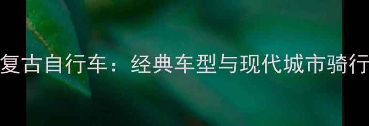 上海永久637复古自行车经典车型与现代城市骑行的完美融合