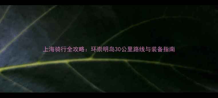 上海骑行全攻略环崇明岛30公里路线与装备指南