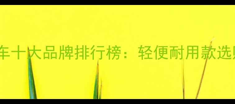 上班通勤折叠自行车十大品牌排行榜轻便耐用款选购指南与避坑攻略
