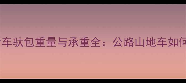 专业实测自行车驮包重量与承重全公路山地车如何选对装备