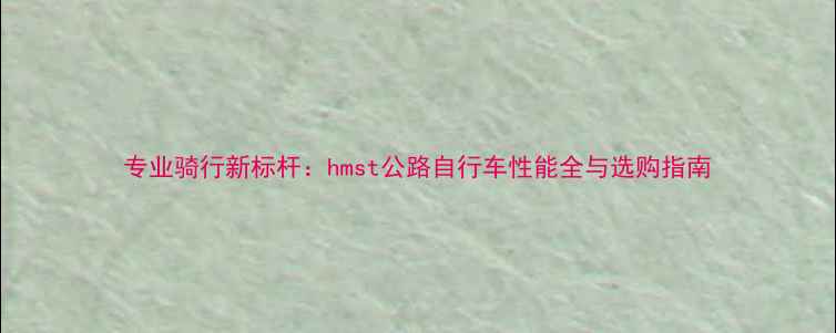 专业骑行新标杆hmst公路自行车性能全与选购指南