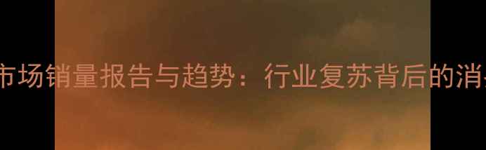中国自行车市场销量报告与趋势行业复苏背后的消费升级逻辑