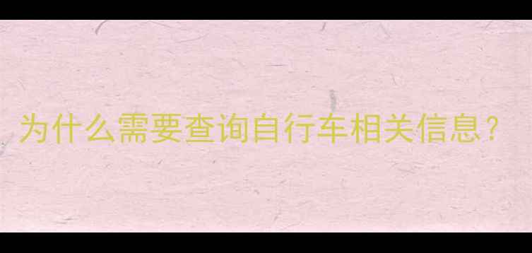 为什么需要查询自行车相关信息