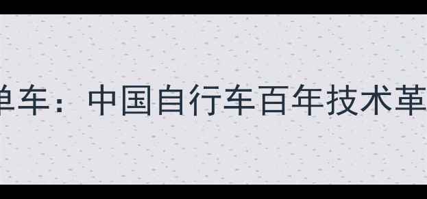 从脚踏车到智能单车中国自行车百年技术革新与未来趋势全