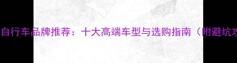 以色列自行车品牌推荐十大高端车型与选购指南附避坑攻略