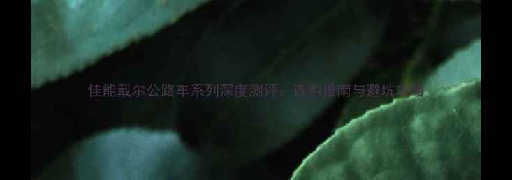 佳能戴尔公路车系列深度测评选购指南与避坑攻略