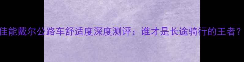佳能戴尔公路车舒适度深度测评谁才是长途骑行的王者