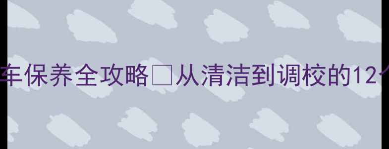 保姆级教程碳纤维公路车保养全攻略从清洁到调校的12个细节附避坑指南