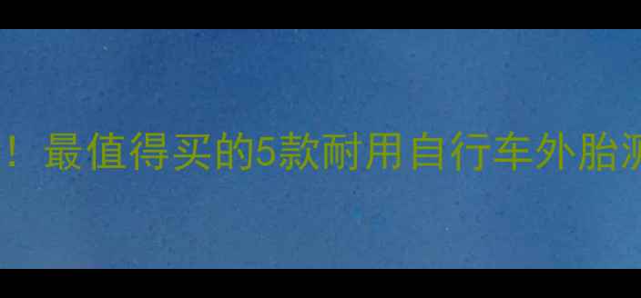 全地形城市骑行必备最值得买的5款耐用自行车外胎测评附避坑指南