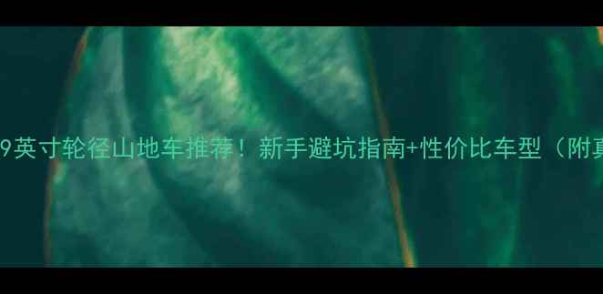 全网最全29英寸轮径山地车推荐新手避坑指南性价比车型附真实测评