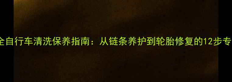 全网最全自行车清洗保养指南从链条养护到轮胎修复的12步专业流程