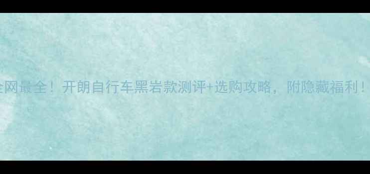 全网最全开朗自行车黑岩款测评选购攻略附隐藏福利