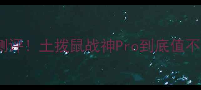 全网最贵自行车测评土拨鼠战神Pro到底值不值6万