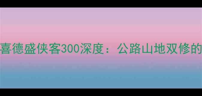 全能战车喜德盛侠客300深度公路山地双修的性价比之王