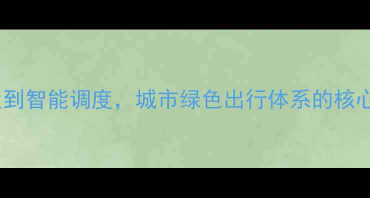 公共自行车系统全从车辆配置到智能调度城市绿色出行体系的核心构成含运营管理实战指南