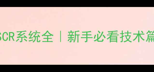 公路自行车SCR系统全新手必看技术篇选购指南