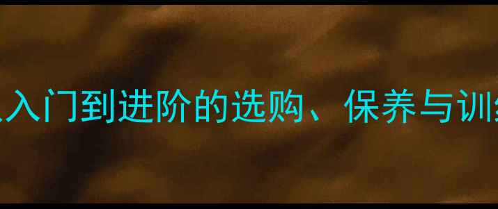 公路自行车全攻略从入门到进阶的选购保养与训练指南附避坑指南