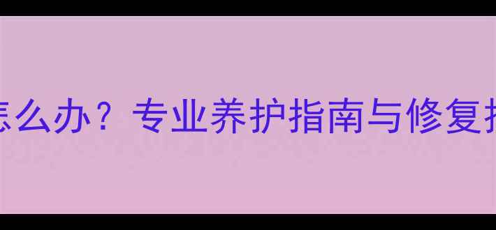 公路自行车胎纹浅怎么办专业养护指南与修复技巧延长轮胎寿命
