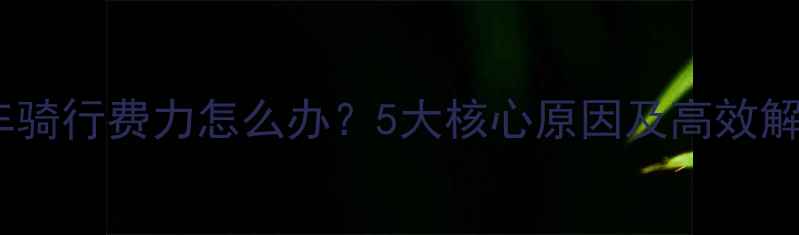 公路自行车骑行费力怎么办5大核心原因及高效解决方法全