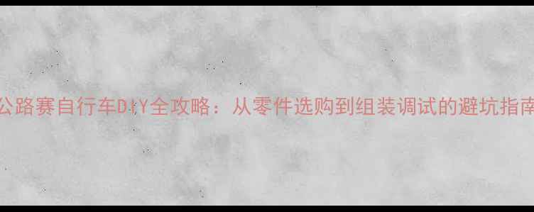 公路赛自行车DIY全攻略从零件选购到组装调试的避坑指南