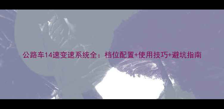 公路车14速变速系统全档位配置使用技巧避坑指南
