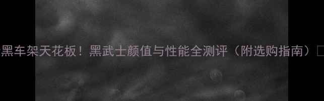 公路车全黑车架天花板黑武士颜值与性能全测评附选购指南