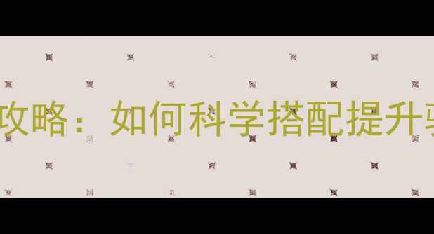 公路车变速齿比全攻略如何科学搭配提升骑行效率与安全性
